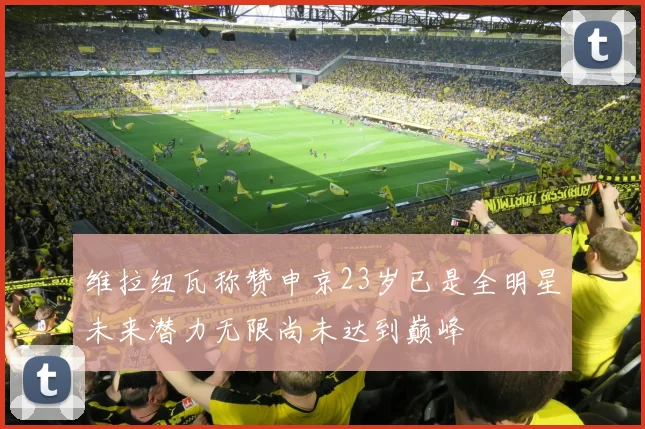 维拉纽瓦称赞申京23岁已是全明星未来潜力无限尚未达到巅峰