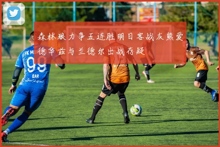 森林狼力争五连胜明日客战灰熊爱德华兹与兰德尔出战存疑