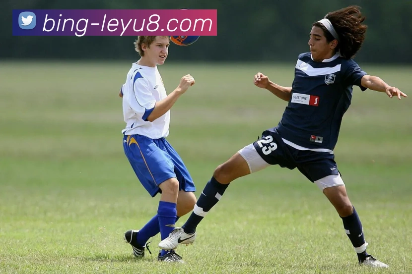 乐鱼体育发展历程