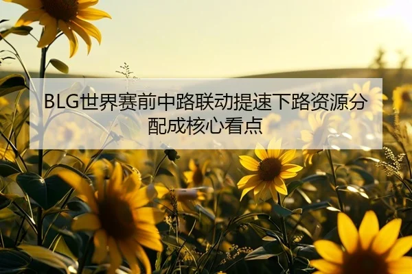 BLG世界赛前中路联动提速下路资源分配成核心看点（leyu）