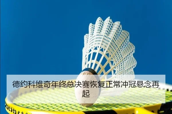 德约科维奇年终总决赛恢复正常冲冠悬念再起 | leyu